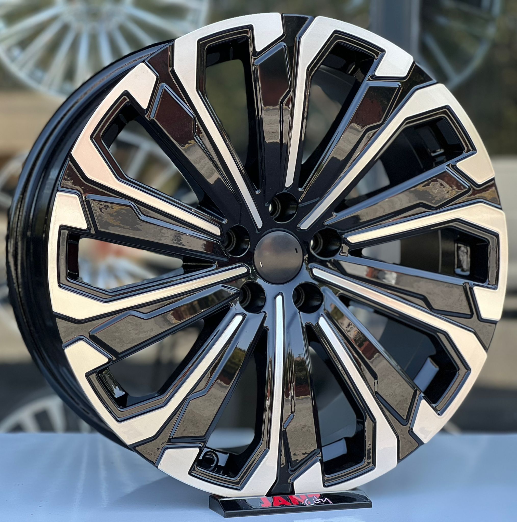 20′ 5X108 JANT MODELİ küçük resim 2