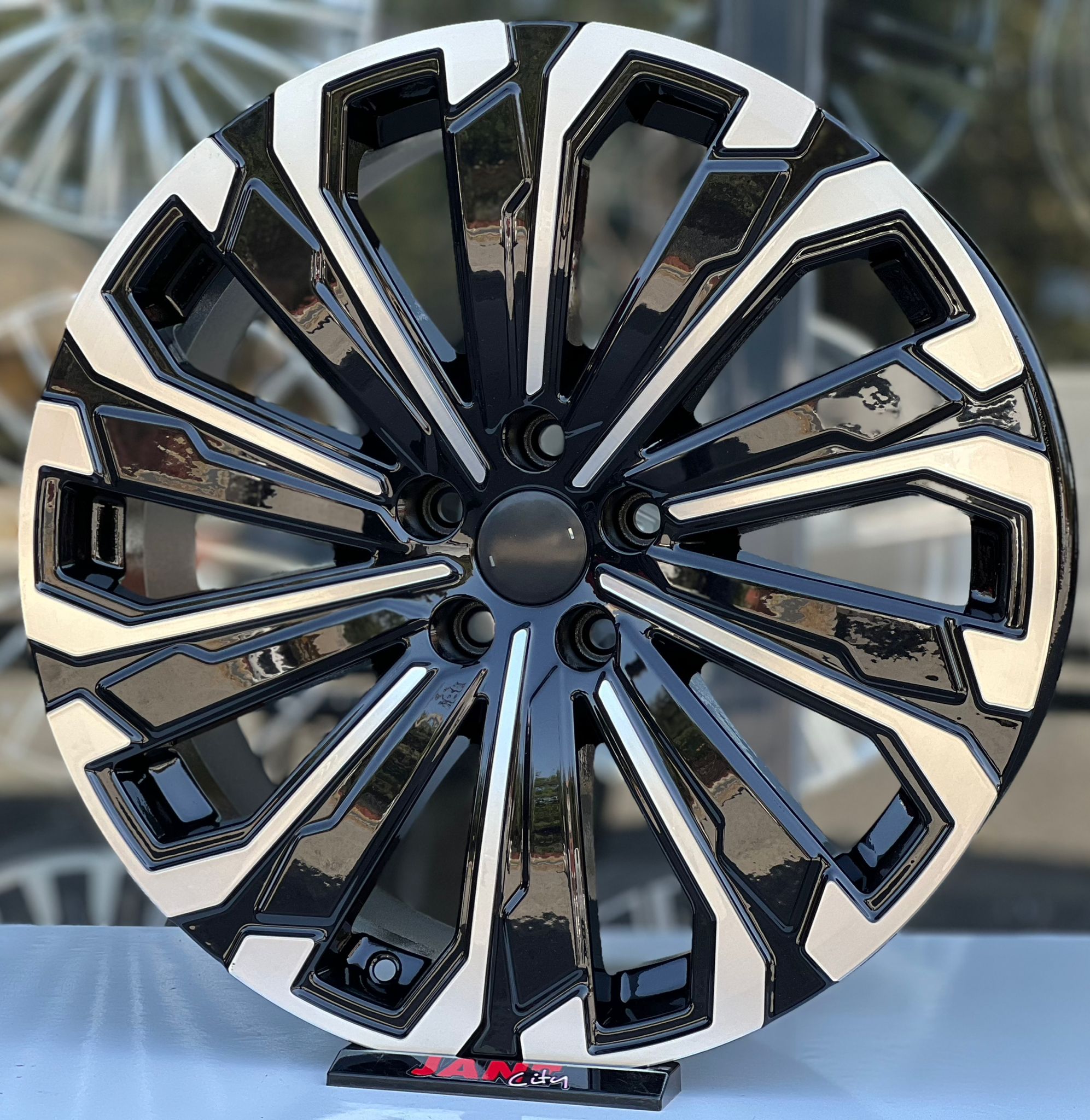20′ 5X108 JANT MODELİ küçük resim 3